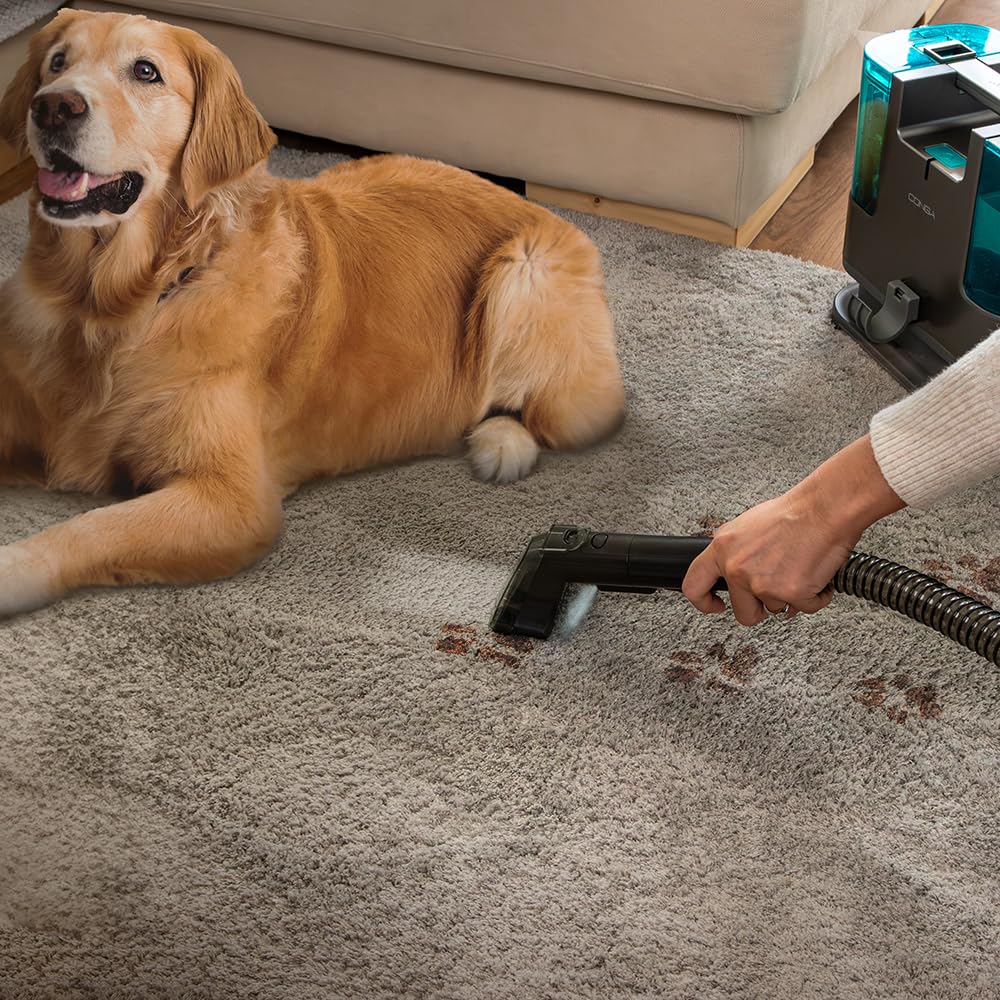 Cecotec Aspirador de Tapicerías con Cable Conga 4000 Carpet&Spot Clean. 400 W, 2 Depósitos: de Agua Limpia y Otro de Sucia, Pulverizador de Agua y 12 kpa de Succión, Radio de Acción 5m